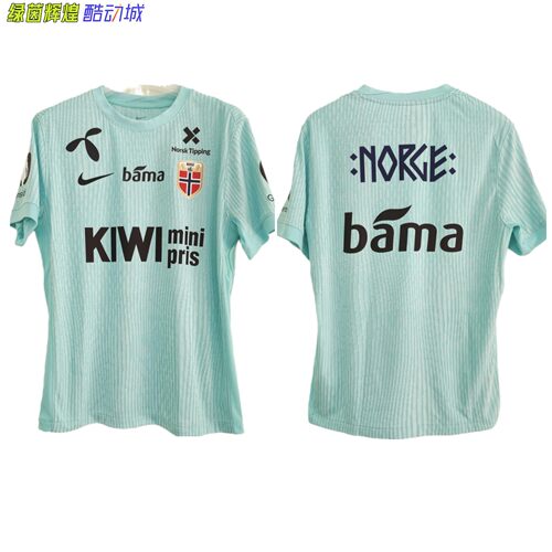 IR8428耐克NIKE高端定制DIY挪威国家队ADV短袖球衣足球比赛训练服