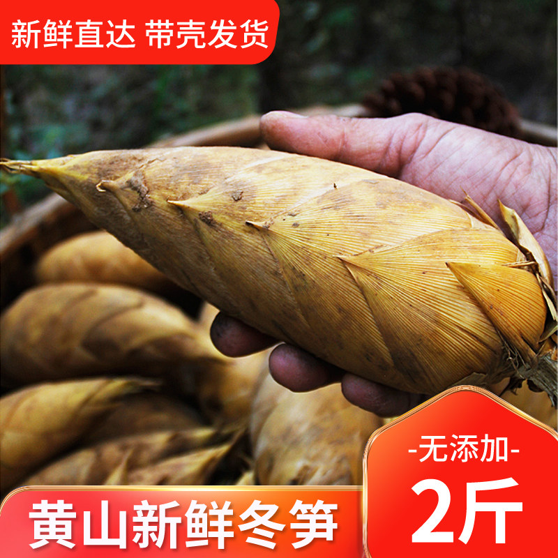 新鲜土冬笋 黄山农家冬带壳鲜笋尖肉鲜美味烧肉炖汤食材1000g