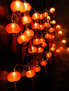 过年led新年红灯笼春节家用装饰品挂件彩灯串阳台客厅布置气氛灯