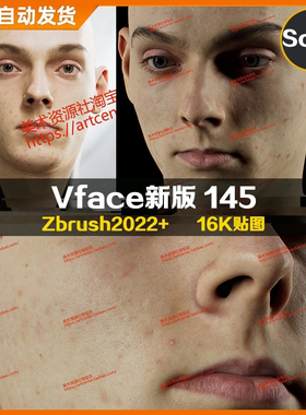 XYZ/Vface新版ZBrush写实高清扫描模型头16K皮肤贴图Alessio145