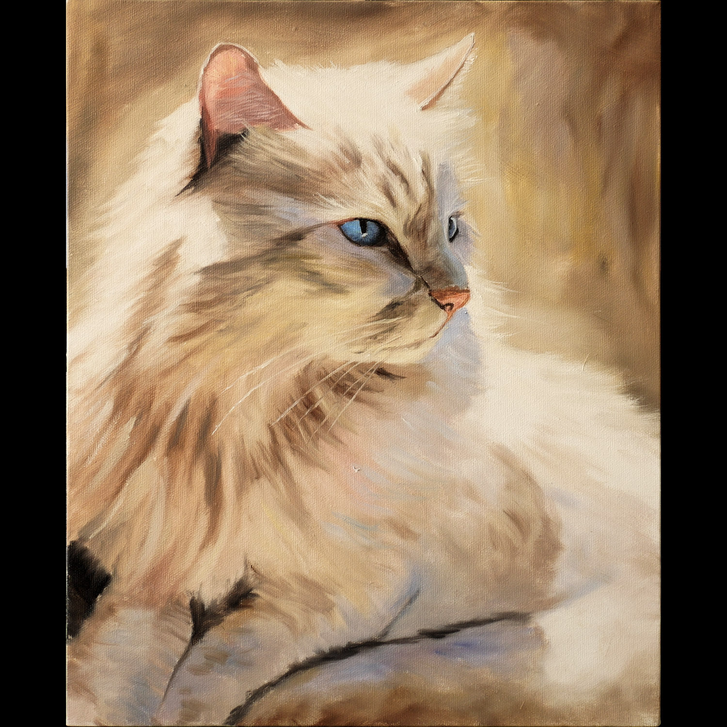 40*60cm 手绘 油画 动物 猫咪  白猫 布偶  装饰画  ljl涂