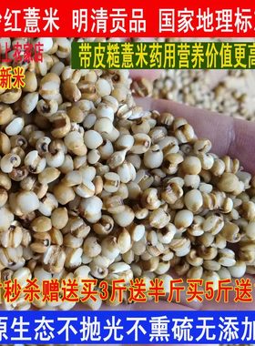 东南金沙薏米500g真空包装新米