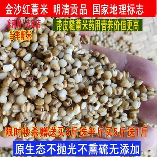 包邮 明清皇帝也吃过特级东南金沙薏米糙薏米仁红小薏米真空500g