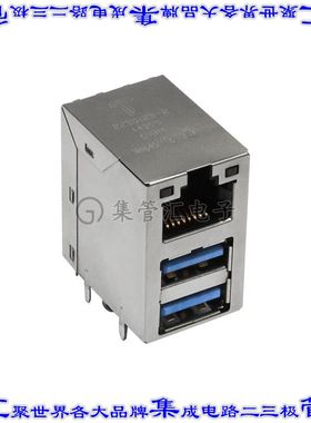 2250125-1 接插件连接器CONN MOD JACK 1G 2USB G/G