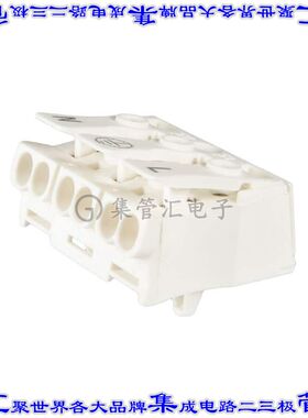 LK 980-01 RZ/ 3 SU BD N PE L 接插件连接器CONN LUMINAIRE 3POL