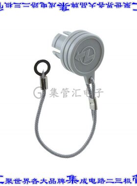 BRA.1B.200.PCSG 连接器配件 盖帽（护盖）,堵头