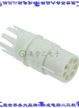 293616-3 接插件连接器CONN SSL RCPT HSG 5POS CRIMP