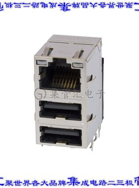 1-2250125-2 接插件连接器CONN MOD JACK 1G 2USB G/G