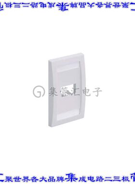 CFPE2IGY 接插件连接器FACEPLATE, 2 PORT, SINGLE GANG,