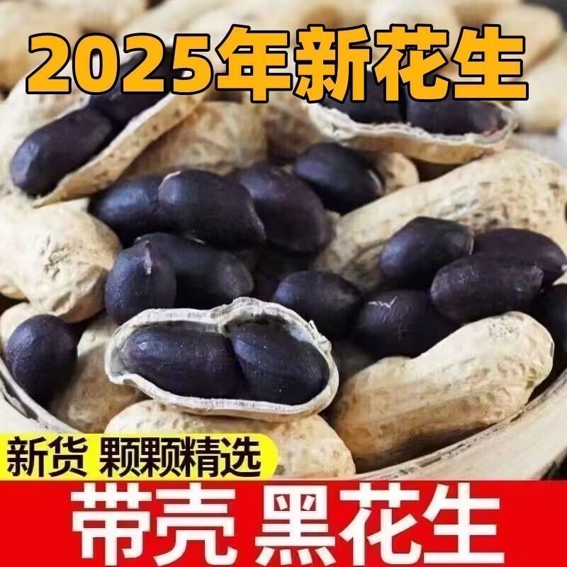 促销2025年富硒带壳生黑花生农家自种黑衣花生生吃甘甜山东特产,零食/坚果/特产,花生,淘宝优惠券,粉丝福利购,淘宝优惠卷
