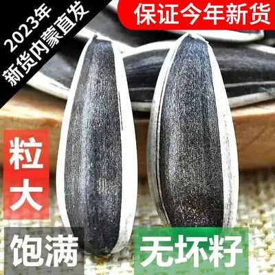 内蒙特大生瓜子大袋5斤1斤生瓜子葵花籽新货干果零食健康休闲食品