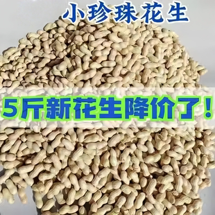【无干燥剂】精选生熟小珍珠花生5斤装带壳花生自然晒干坚果零食