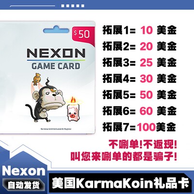 美国Nexon国际服POE/DFO冒险岛Karma Koin点卡KK卡 10 50 100美金