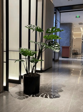 龟背竹盆栽网红大叶ins风绿植赤贫风客厅书房仿真植物拐角装饰