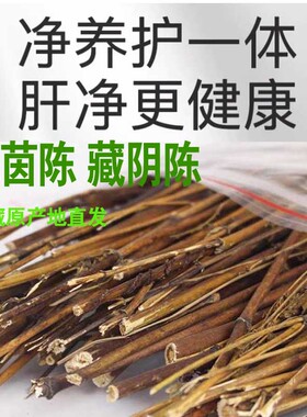 250克西藏野生藏茵陈精选正品中药材养肝护肝泡水煮水赶黄草