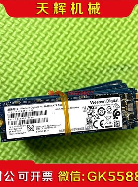 【议价】WD西数SA530 256GB健康百分百顺丰到付