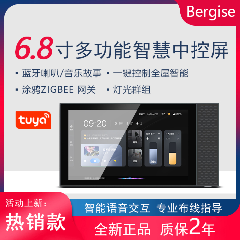 智能中控屏内置涂鸦背景音乐主机