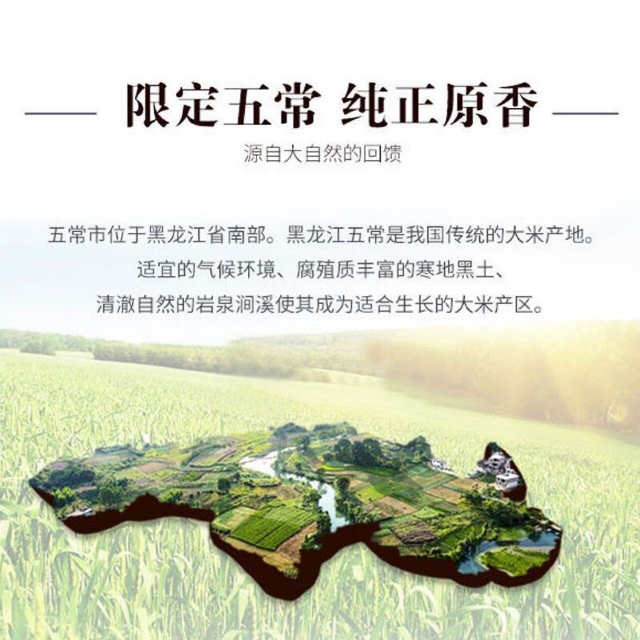福临门雪国冰姬五常精选香米十斤5kg五常大米东北长粒香大米怎么看?