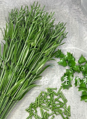 康乃馨diy 手工制作摆地摊节日礼物塑料仿真花枝杆花托花钉一整套