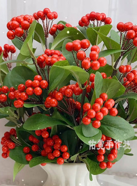 红浆果材料包DIY手工串珠发财果红果北欧冬青果配件散珠