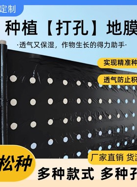 热销打孔黑色地膜除草保温保湿药材小葱辣椒朝天椒开孔地膜