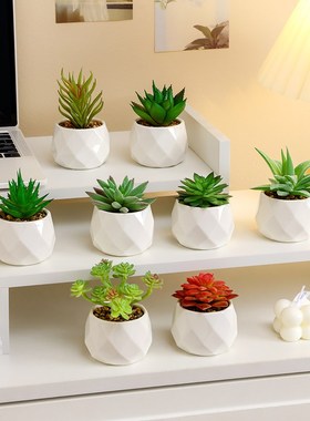热销办公室桌面仿真多肉绿植室内盆栽工位小摆件ins仿生植物假花