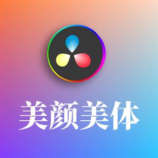 达芬奇DaVinci Resolve智能美颜美体美颜长腿插件安装