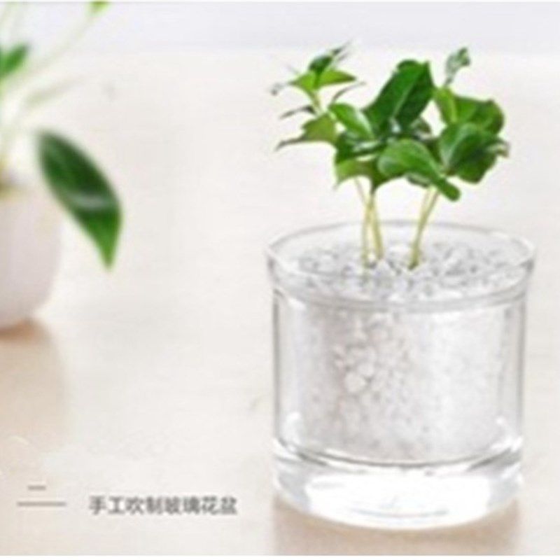热销透明玻璃花盆储水式双层水培小花盆迷你花瓶容器办公桌面摆件