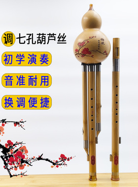 楠竹双调葫芦丝F加G降B加C调音准易吹耐用成人演奏专业乐器不易裂