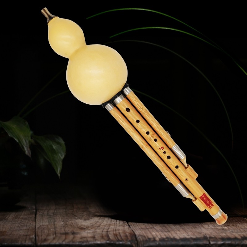 九孔葫芦丝楠竹单双调可选成年人演奏初学FG降BCD调高音易吹音准