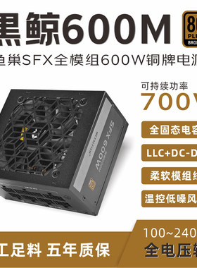 鱼巢SFX额定600W电源铜牌全模组