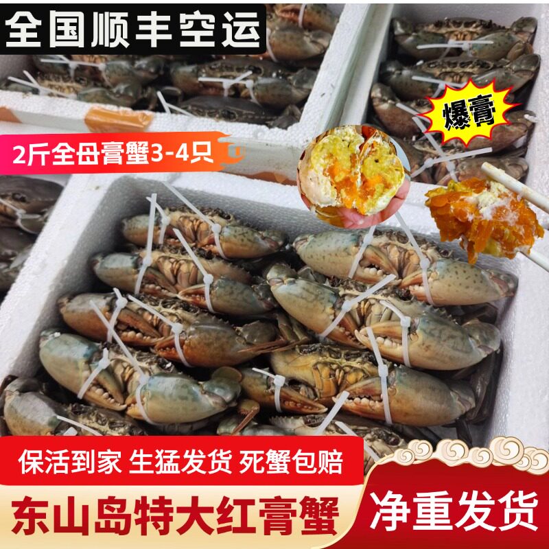 【活发】东山岛红膏蟹特大膏蟹红鲟蟹青蟹螃蟹高端海鲜水产礼盒