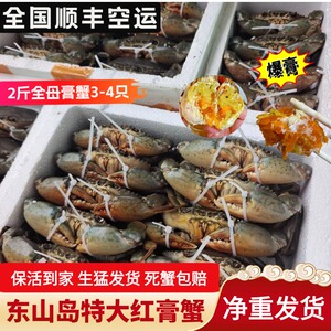 活发东山岛特大红膏青蟹礼盒