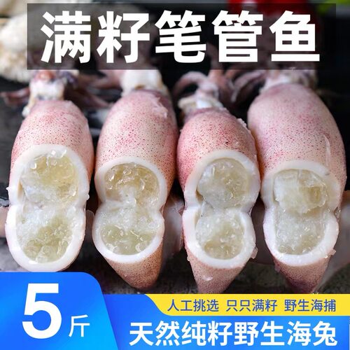 满籽原籽新鲜无沙海兔章鱼批发