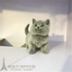 出售纯种健康英短蓝猫活体英国短毛猫蓝猫英短幼猫宠物猫 包邮