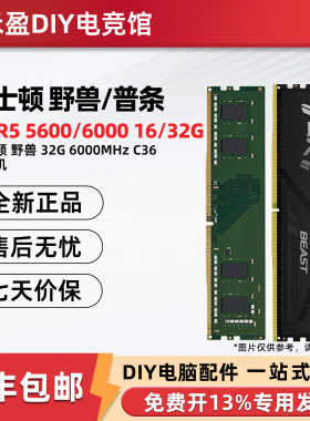 金士顿FURY野兽系列骇客神条ddr5 5200/5600/6000 16G台式内存条