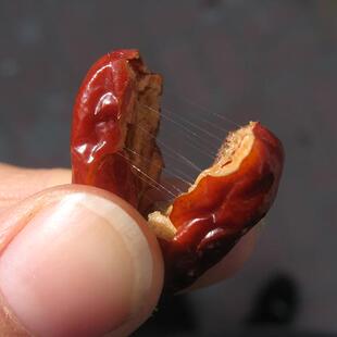 百年古树山东乐陵金丝小枣天然无核生食孕妇煲粥粽子专用