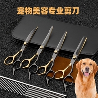 寵物簡單美容修剪貓咪小型犬