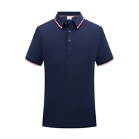 TH99213 Тибетский Цин