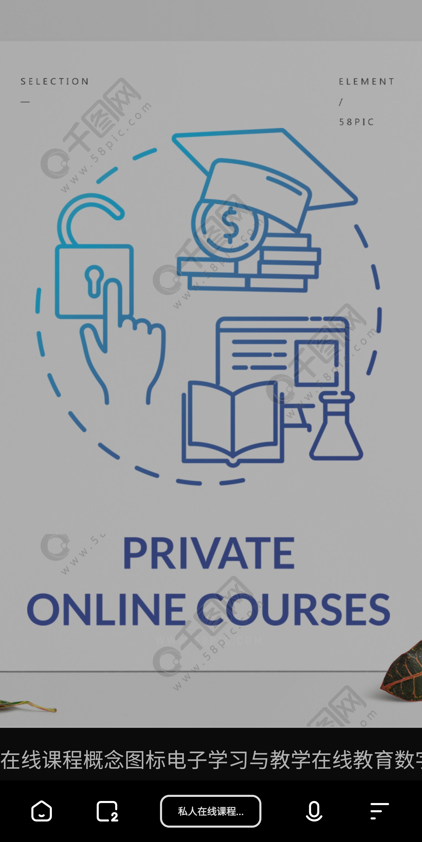 流式数据flowjo分析定制化教学