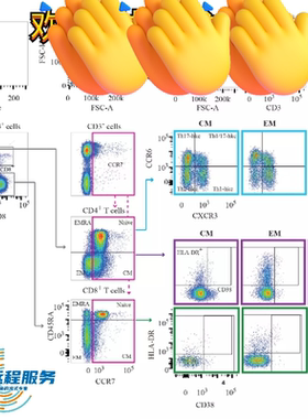 流式数据分析-flowjo细胞凋亡周期免疫分型活性氧增殖钙流多色