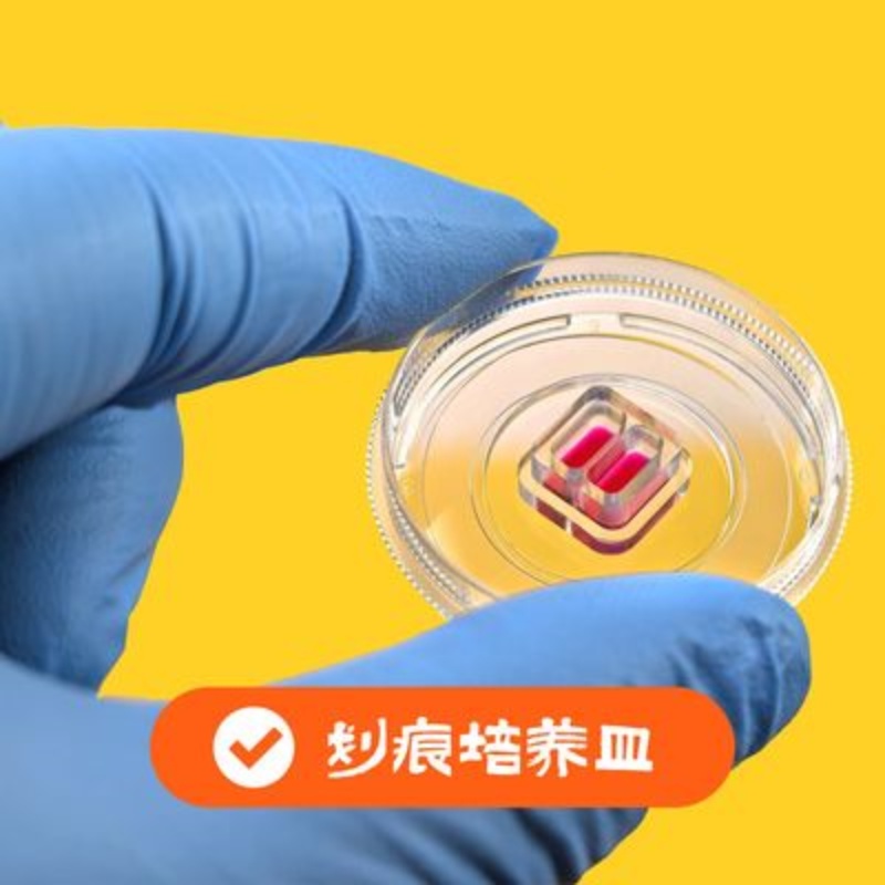 TC处理35mm细胞划痕培养皿,玻底20mm,500μm划痕,灭菌1个/包