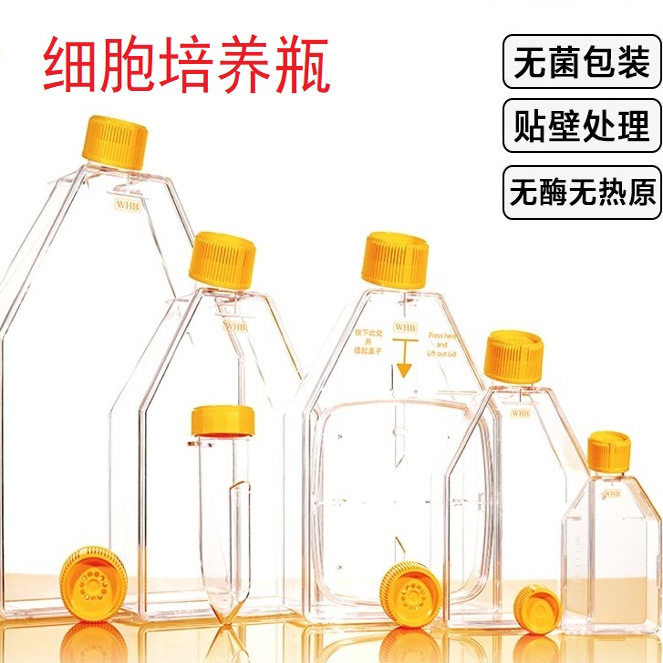 化科无菌塑料细胞培养瓶贴壁细胞