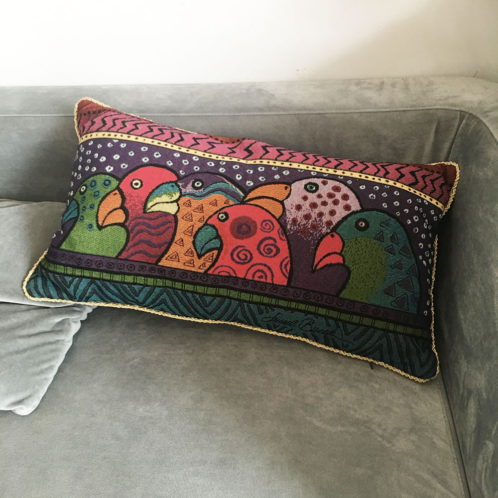 美国插画羽毛原创风抱枕