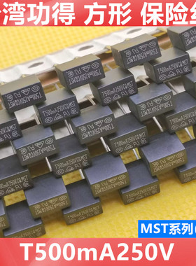 TE5微型保险 MST T500mA 250V 台湾功得  8.35*4.3*7.7方型保险丝