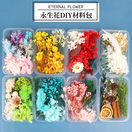 天然干花永生花假花仿真花儿童手工diy团扇材料包装饰教师节礼物