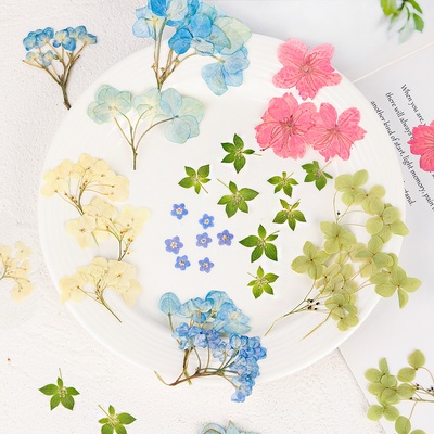 押花混合干花干花材料包