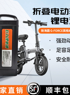 G-Force英格威同款电动折叠车48V锂电池20ah30ah大容量手提式电瓶