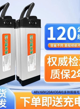 新国标48V20Ah30Ah代驾折叠车锂电池60V五羊凤凰通用海霸银鱼款