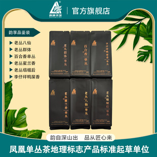 高峰绿宝 韵享六泡品鉴装 凤凰单丛茶 试喝装